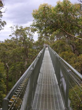 Tree Top Walk, Albany, WA