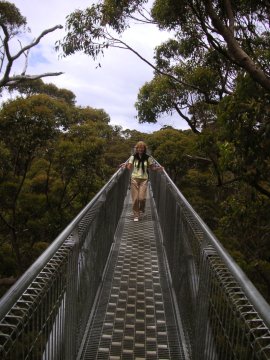 Tree Top Walk, Albany, WA