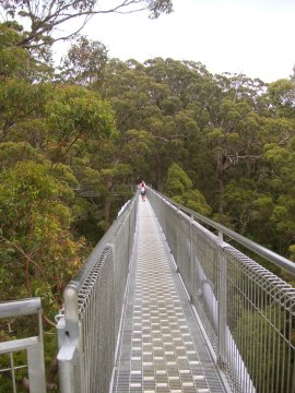 Tree Top Walk, Albany, WA