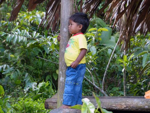 Venezuela: Am Orinoco Teil 2