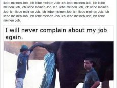 Fit and Fun -Golfwitze