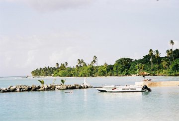 Charlottville Tobago