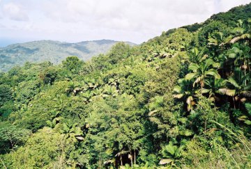 Englishman's Bay Tobago