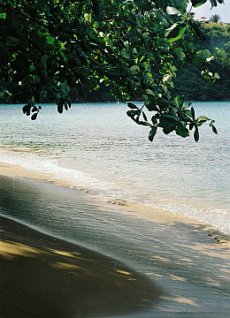 httimpressenglishmen2