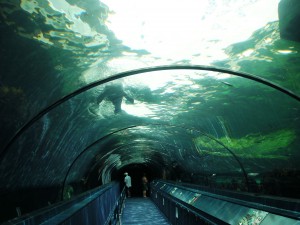 Sydney Aquarium