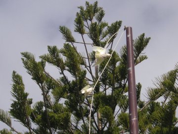 Dunsborough, Australien