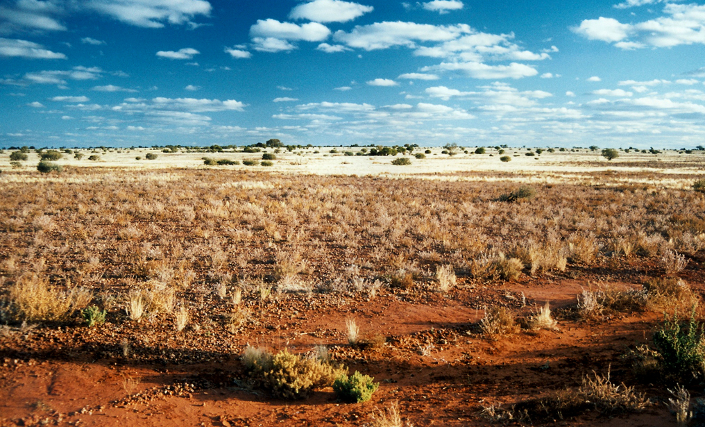 outback-nullarbor