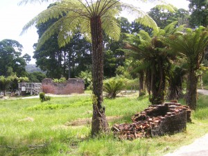 Sarah Island, Tasmanien, Australien