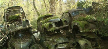Oldtimer-Friedhof - Mettmann