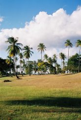 Tobago Golfplatz Mt. Irvine