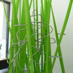 Lindenberg. Grasgewitter