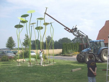 Peter Lindenberg Kapuzinerkresse-aufbau