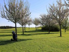 Golfclub Gut Rieden, Bayern, Am Starnberger See, Fairway