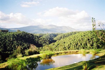 Tsitsikamma Lodge Südafrika