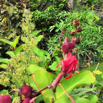 Südafrika - Mthatha