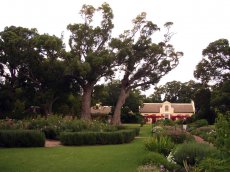 Golfen in Südafrika