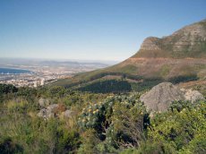 Kapstadt- Südafrika