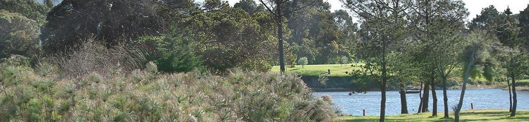 Royal Cape Golf Club