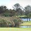 Royal Cape Golf Club