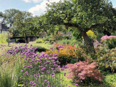 Nordrhein-Westfalen - Ratingen - Burg Haus zum Haus