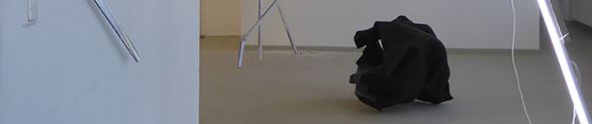 Paul Schwer, Licht auf Waldboden