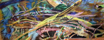 Katrin Roeber - Sumpflandschaften