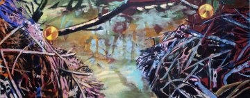 Katrin Roeber - Sumpflandschaften