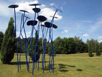 Peter Lindenberg - Kapuzinerkresse