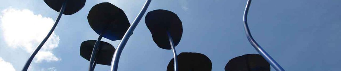 Peter Lindenberg - Kapuzinerkresse