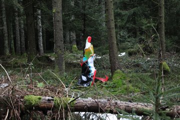 Paul Schwer - Mountain