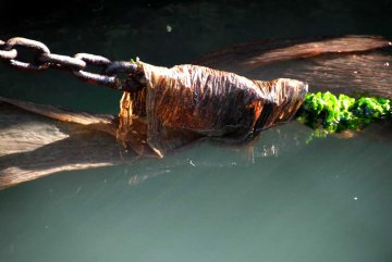 Monika Seibel Fotografie - Fremde Haut