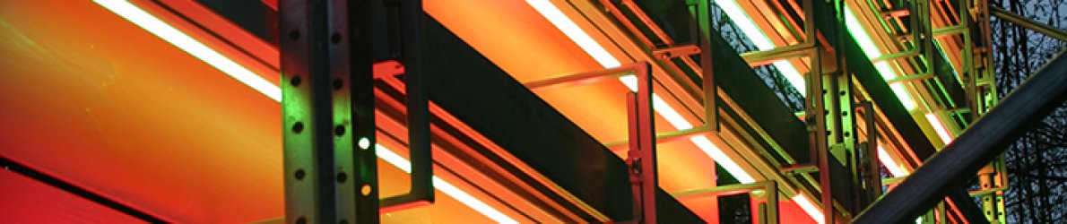 Paul Schwer - Cutout