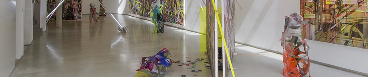 Paul Schwer Installation