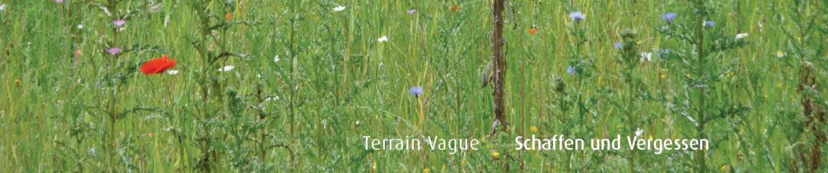 Katrin Roeber - Terrain Vague