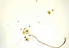 Mathias Lanfer Plastiken / Skulpturen