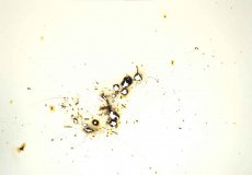 Mathias Lanfer Plastiken / Skulpturen