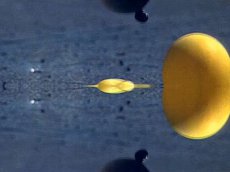 Mathias Lanfer Plastiken / Skulpturen