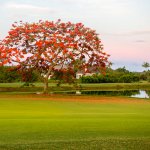 USA - Florida - GC The Dunes