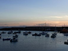Irland - Harbour Bistro