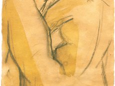 Torsten Paul - Zeichnungen - Aktstudie