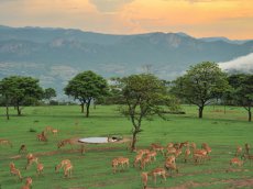 Afrika - Mozambique - Leopard Rock