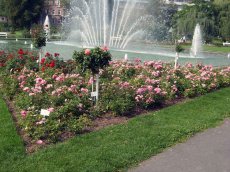 Baden-Württemberg - Freiburg