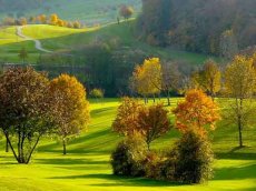 GC Markgräfler Land - Freiburg