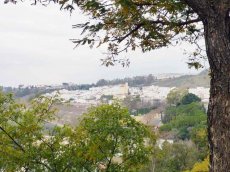 Spanien-Andalusien-Arcos de la Frontera