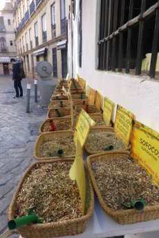 Spanien-Andalusien-Sevilla