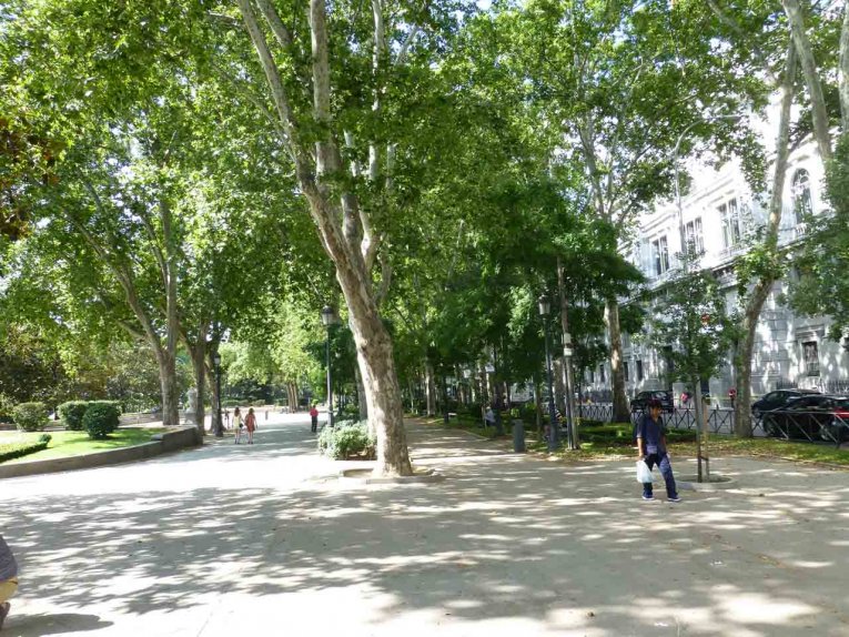 Madrid - Paseo del Prado
