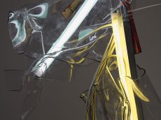 Paul Schwer Installation 2018