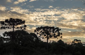 Brasilien - Parana