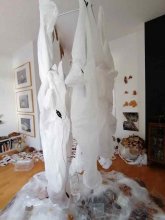 Monika Seibel Fotografie