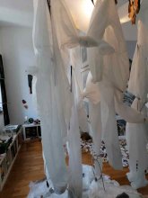 Monika Seibel Fotografie